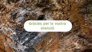 Gràcies per la vostra
atenció
 