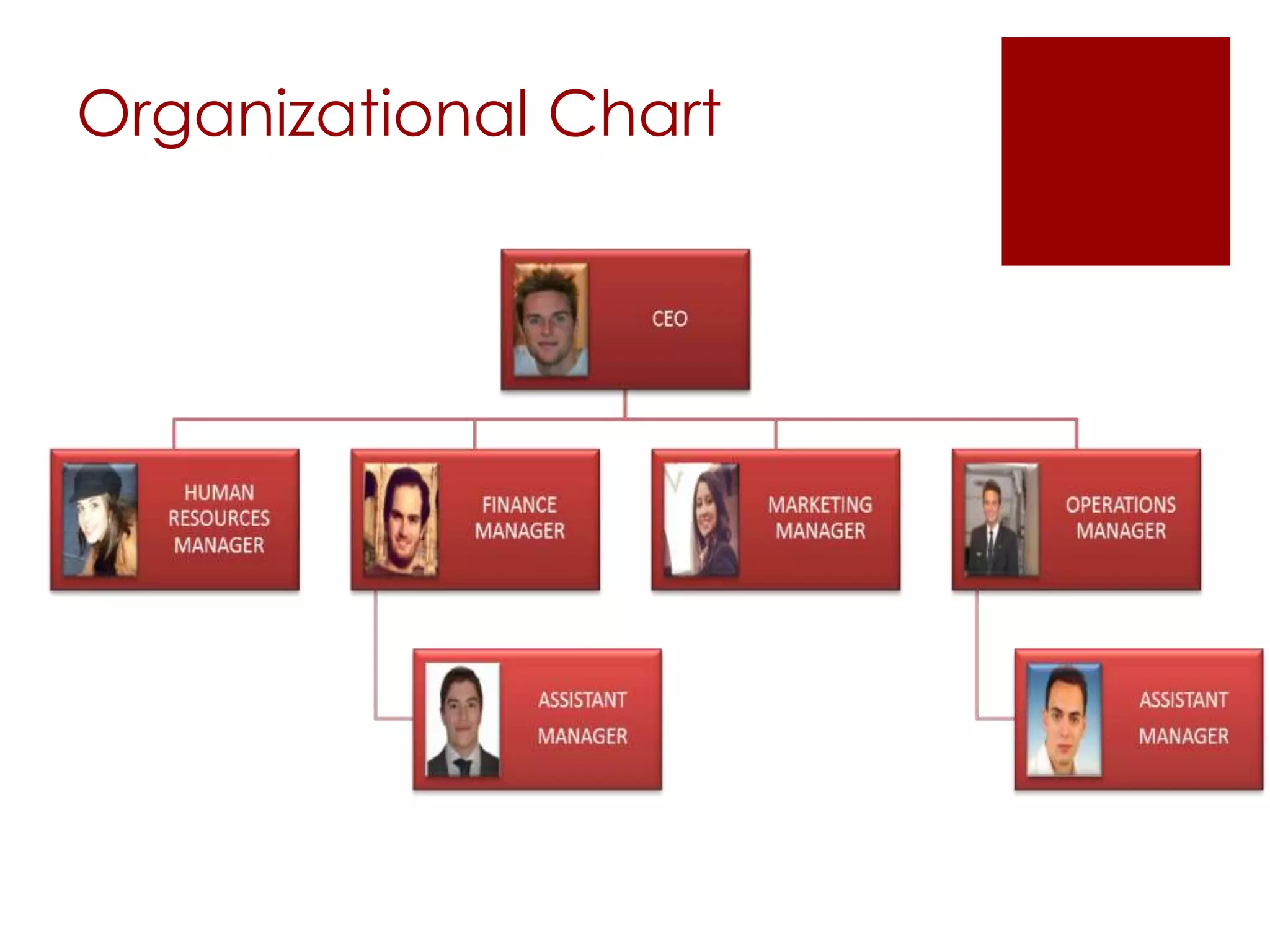 Organizational Chart
 