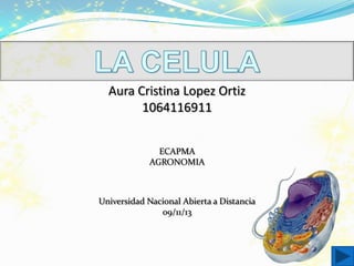 Aura Cristina Lopez Ortiz
1064116911
ECAPMA
AGRONOMIA

Universidad Nacional Abierta a Distancia
09/11/13

 