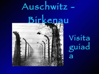 Auschwitz - Birkenau Visita guiada 