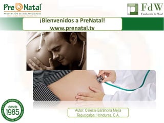 ¡Bienvenidos a PreNatal!
www.prenatal.tv
Autor: Celeste Barahona Mejía
Tegucigalpa, Honduras, C.A.
 