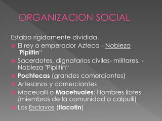 Estaba rígidamente dividida. 
 El rey o emperador Azteca - Nobleza 
"Pipiltin“ 
 Sacerdotes, dignatarios civiles- militares. - 
Nobleza "Pipiltin“ 
 Pochtecas (grandes comerciantes) 
 Artesanos y comerciantes 
 Maceualli o Macehuales: Hombres libres 
(miembros de la comunidad o calpulli) 
 Los Esclavos (tlacotin) 
 