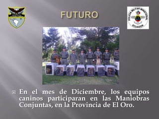    En el mes de Diciembre, los equipos
    caninos participaran en las Maniobras
    Conjuntas, en la Provincia de El Oro.
 
