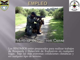 Los BINOMIOS están preparados para realizar trabajos
de Búsqueda y Detección de Explosivos en cualquier
lugar, bajo las más extremas condiciones climáticas y
en cualquier tipo de terreno.
 