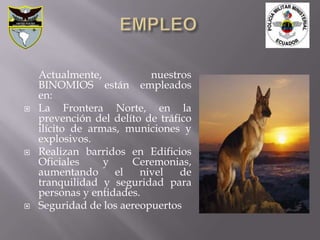 Actualmente,           nuestros
    BINOMIOS están empleados
    en:
   La Frontera Norte, en la
    prevención del delíto de tráfico
    ilícito de armas, municiones y
    explosivos.
   Realizan barridos en Edificios
    Oficiales     y    Ceremonias,
    aumentando      el   nivel    de
    tranquilidad y seguridad para
    personas y entidades.
   Seguridad de los aereopuertos
 