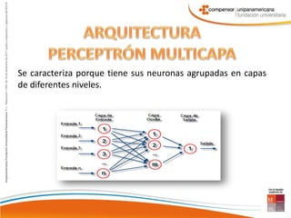 Se caracteriza porque tiene sus neuronas agrupadas en capas 
de diferentes niveles. 
 