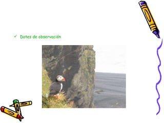 Dotes de observación 