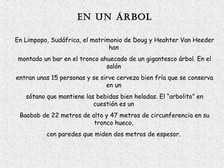 En un árbol 
En Limpopo, Sudáfrica, el matrimonio de Doug y Heahter Van Heeder 
han 
montado un bar en el tronco ahuecado de un gigantesco árbol. En el 
salón 
entran unas 15 personas y se sirve cerveza bien fría que se conserva 
en un 
sótano que mantiene las bebidas bien heladas. El “arbolito” en 
cuestión es un 
Baobab de 22 metros de alto y 47 metros de circunferencia en su 
tronco hueco, 
con paredes que miden dos metros de espesor. 
 