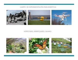 CAMPO DE EXPERIMENTACIÓN PARA ROBÓTICA
HERPETARIO, MARIPOSARIO, AVIARIO
 