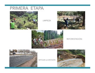 MITIGAR LA EROSIÓN
REFORESTACIÓN
LIMPIEZA
 