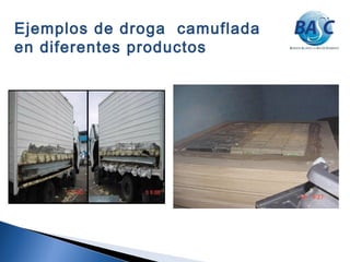 Ejemplos de droga camuflada
en diferentes productos
 