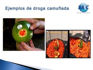 Ejemplos de droga camuflada
 