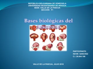 REPÚBLICA BOLIVARIANA DE VENEZUELA
UNIVERSIDAD BICENTENARIA DE ARAGUA
SEDE: VALLE DE LA PASCUA
SECCIÓN P1
PARTICIPANTE:
KEVIN SANCHEZ
C.I. 26.844.198
VALLE DE LA PASCUA, JULIO 2018
 