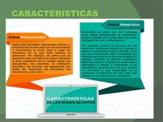 CARACTERISTICAS
 