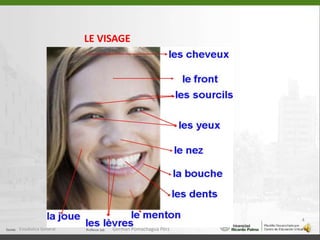 LE VISAGEEstadistica General4German Pomachagua Pérz