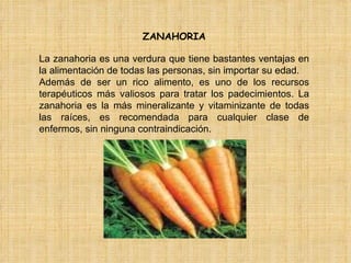 ZANAHORIA La zanahoria es una verdura que tiene bastantes ventajas en la alimentación de todas las personas, sin importar su edad.  Además de ser un rico alimento, es uno de los recursos terapéuticos más valiosos para tratar los padecimientos. La zanahoria es la más mineralizante y vitaminizante de todas las raíces, es recomendada para cualquier clase de enfermos, sin ninguna contraindicación. 