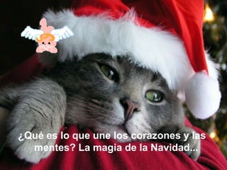 ¿Qué es lo que une los corazones y las mentes? La magia de la Navidad...