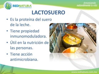 LACTOSUERO
• Es la proteína del suero
de la leche.
• Tiene propiedad
inmunomoduladora.
• Útil en la nutrición de
las personas.
• Tiene acción
antimicrobiana.

 