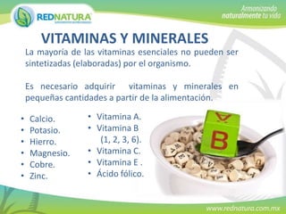 VITAMINAS Y MINERALES
La mayoría de las vitaminas esenciales no pueden ser
sintetizadas (elaboradas) por el organismo.
Es necesario adquirir vitaminas y minerales en
pequeñas cantidades a partir de la alimentación.
•
•
•
•
•
•

Calcio.
Potasio.
Hierro.
Magnesio.
Cobre.
Zinc.

• Vitamina A.
• Vitamina B
(1, 2, 3, 6).
• Vitamina C.
• Vitamina E .
• Ácido fólico.

 