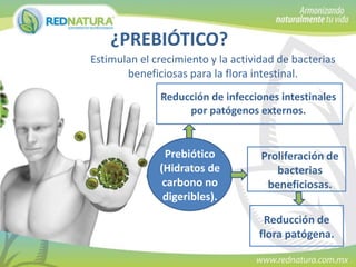 ¿PREBIÓTICO?
Estimulan el crecimiento y la actividad de bacterias
beneficiosas para la flora intestinal.
Reducción de infecciones intestinales
por patógenos externos.

Prebiótico
(Hidratos de
carbono no
digeribles).

Proliferación de
bacterias
beneficiosas.
Reducción de
flora patógena.

 