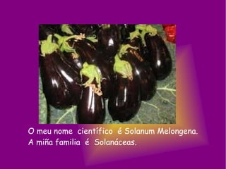 O meu nome científico é Solanum Melongena.
A miña familia é Solanáceas.
 