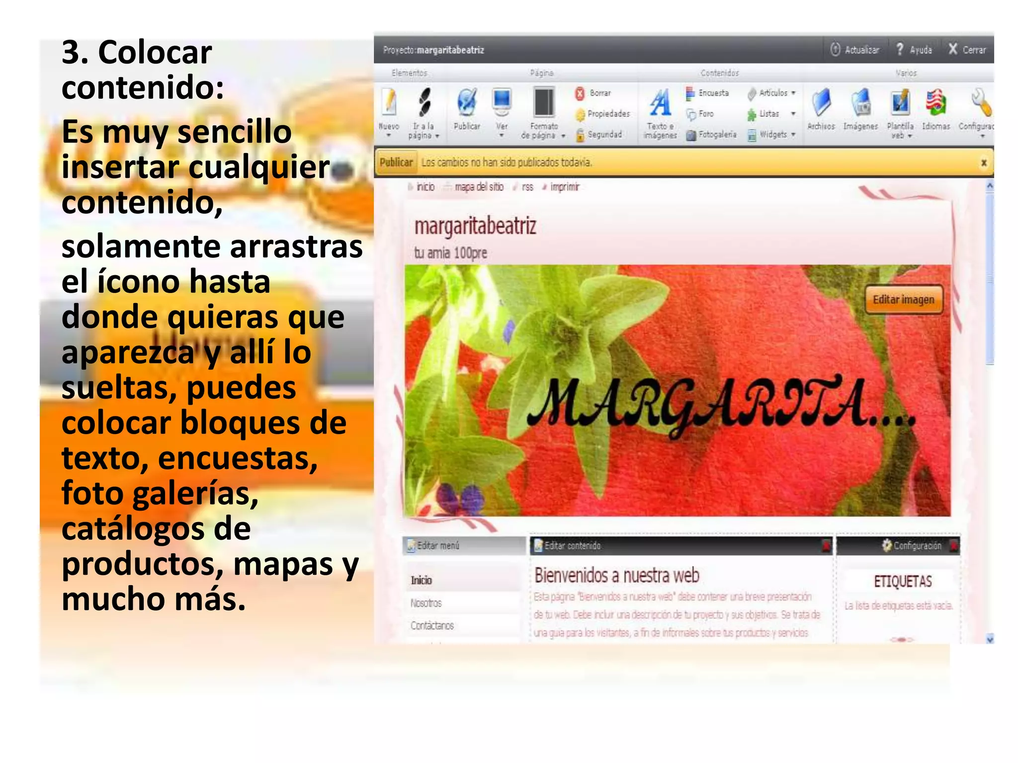 3. Colocar
contenido:
Es muy sencillo
insertar cualquier
contenido,
solamente arrastras
el ícono hasta
donde quieras que
aparezca y allí lo
sueltas, puedes
colocar bloques de
texto, encuestas,
foto galerías,
catálogos de
productos, mapas y
mucho más.
 