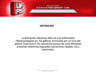 DEFINICION

La Bronquitis Infecciosa (BIA) es una enfermedad
infectocontagiosa en las gallinas, provocada por un virus del
género Coronavirus. Se caracteriza porque las aves afectadas
presentan estertores traqueales secreciones nasales, tos y
estornudos.

 
