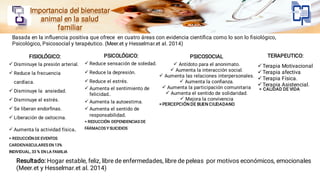 Presentacion Bienestar Animal veterinario | PDF