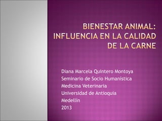 Diana Marcela Quintero Montoya
Seminario de Socio Humanística
Medicina Veterinaria
Universidad de Antioquia
Medellín
2013
 