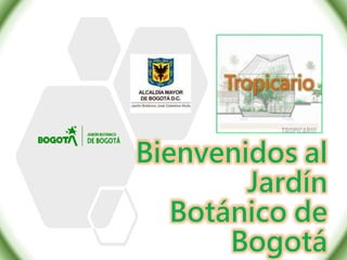 Bienvenidos al
Jardín
Botánico de
Bogotá
 