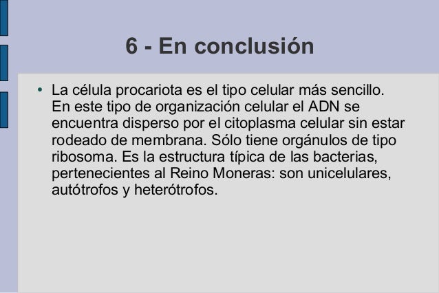 Corredores de opciones binarias de escalera