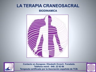 LA TERAPIA CRANEOSACRAL
BIODINAMICA
Contacto en Zaragoza: Elizabeth Enrech Foradada.
Teléfono móvil : 649. 22 92 66
Terapeuta certificada por la Asociación española de TCB.
 