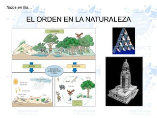Todos en fila…
EL ORDEN EN LA NATURALEZA
 