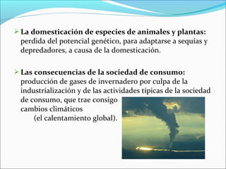 La domesticación de especies de animales y plantas:
perdida del potencial genético, para adaptarse a sequías y
depredadores, a causa de la domesticación.
Las consecuencias de la sociedad de consumo:
producción de gases de invernadero por culpa de la
industrialización y de las actividades típicas de la sociedad
de consumo, que trae consigo
cambios climáticos
(el calentamiento global).
 