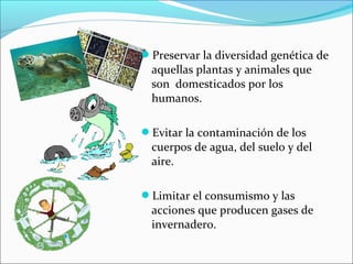 Preservar la diversidad genética de
aquellas plantas y animales que
son domesticados por los
humanos.
Evitar la contaminación de los
cuerpos de agua, del suelo y del
aire.
Limitar el consumismo y las
acciones que producen gases de
invernadero.
 