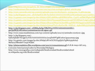• http://img.terra.com.mx/galeria_de_fotos/images/262/523308.jpg
• http://verdecaiman.files.wordpress.com/2012/09/crisis-ecologica-global_article1.png
• http://www.veoverde.com/wp-content/uploads/2010/05/2671655570_00379ca7a2_b-466x350.jpg
• http://4.bp.blogspot.com/_yKrXxhptfCk/S8-PycX1H7I/AAAAAAAAABI/yzNCentkuyk/s400/cambio+c
• http://t3.gstatic.com/images?q=tbn:ANd9GcQHU4b8Nkc05RIRfMrEidNm_C54VL-mPbkOlXglwPMP
• http://t3.gstatic.com/images?q=tbn:ANd9GcSHyGP6euaqojdAR914L1lcv9jtFSVURNizCFvdgU27kKvda
• http://t3.gstatic.com/images?q=tbn:ANd9GcSRny7xDNejaToCbonRII74qWREWfOtgq5Uu0bJXTtGkc
• http://t0.gstatic.com/images?q=tbn:ANd9GcQxhzpPTaD-rB2iGwZRt_KNfV2G_dqRxHMLjQ1DiabBw-
• http://3.bp.blogspot.com/_ciH8bk4EpSg/TBhZW0cVHYI/AAAAAAAAASU/-
gwQa1MQCeM/s1600/contaminacion-de-agua-1.gif
• http://www.mascotasdistintas.com/wp-content/uploads/2012/07/animales-exoticos-1.jpg
• http://4.bp.blogspot.com/-
Epb7iIqSsJ8/Tkv9gGL0VZI/AAAAAAAAAA0/jxx5DobPOgM/s1600/guacamaya.jpg
• http://t0.gstatic.com/images?q=tbn:ANd9GcRV0OCDLD39ZpS2TqjMc63tjabAuJ-
MeSar7OB6mbtVT1t9UWjl8A
• http://plataconplatica.files.wordpress.com/2012/11/consumismo0.gif el 18 de mayo del 2013.
• Convenio Internacional sobre la Diversidad Biológica
http://www.monografias.com/trabajos66/biodiversidad/biodiversidad.shtml
es.wikipedia.org/wiki/Biodiversidad
 