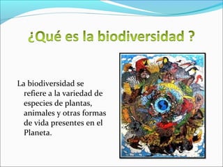 La biodiversidad se
refiere a la variedad de
especies de plantas,
animales y otras formas
de vida presentes en el
Planeta.
 