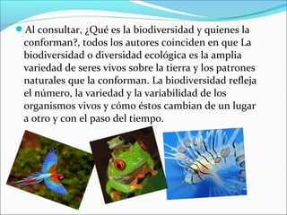 Al consultar, ¿Qué es la biodiversidad y quienes la
conforman?, todos los autores coinciden en que La
biodiversidad o diversidad ecológica es la amplia
variedad de seres vivos sobre la tierra y los patrones
naturales que la conforman. La biodiversidad refleja
el número, la variedad y la variabilidad de los
organismos vivos y cómo éstos cambian de un lugar
a otro y con el paso del tiempo.
 