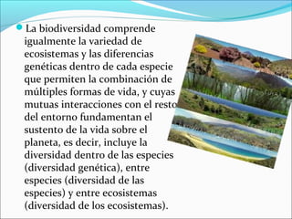La biodiversidad comprende
igualmente la variedad de
ecosistemas y las diferencias
genéticas dentro de cada especie
que permiten la combinación de
múltiples formas de vida, y cuyas
mutuas interacciones con el resto
del entorno fundamentan el
sustento de la vida sobre el
planeta, es decir, incluye la
diversidad dentro de las especies
(diversidad genética), entre
especies (diversidad de las
especies) y entre ecosistemas
(diversidad de los ecosistemas).
 