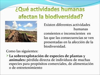 Como las siguientes:
La sobreexplotación de especies de plantas y
animales: pérdida directa de individuos de muchas
especies para propósitos comerciales, de alimentación
o de entretenimiento
Existen diferentes actividades
humanas
consientes e inconscientes en
las que las consecuencias se ven
presentadas en la afección de la
biodiversidad.
 