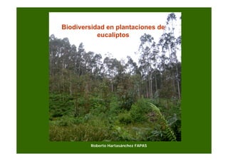Biodiversidad en plantaciones de
           eucaliptos




         Roberto Hartasánchez FAPAS
 