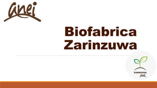 Biofabrica
Zarinzuwa
 
