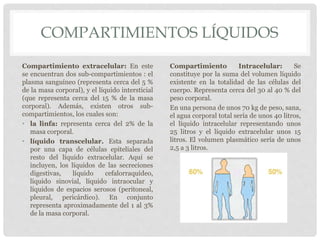 COMPARTIMIENTOS LÍQUIDOS
Compartimiento extracelular: En este
se encuentran dos sub-compartimientos : el
plasma sanguíneo (representa cerca del 5 %
de la masa corporal), y el líquido intersticial
(que representa cerca del 15 % de la masa
corporal). Además, existen otros sub-
compartimientos, los cuales son:
• la linfa: representa cerca del 2% de la
masa corporal.
• líquido transcelular. Esta separada
por una capa de células epiteliales del
resto del líquido extracelular. Aquí se
incluyen, los líquidos de las secreciones
digestivas, líquido cefalorraquídeo,
líquido sinovial, líquido intraocular y
líquidos de espacios serosos (peritoneal,
pleural, pericárdico). En conjunto
representa aproximadamente del 1 al 3%
de la masa corporal.
Compartimiento Intracelular: Se
constituye por la suma del volumen líquido
existente en la totalidad de las células del
cuerpo. Representa cerca del 30 al 40 % del
peso corporal.
En una persona de unos 70 kg de peso, sana,
el agua corporal total sería de unos 40 litros,
el líquido intracelular representando unos
25 litros y el líquido extracelular unos 15
litros. El volumen plasmático sería de unos
2,5 a 3 litros.
 