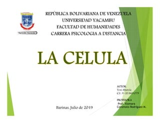 REPÚBLICA BOLIVARIANA DE VENEZUELA
UNIVERSIDAD YACAMBU
FACULTAD DE HUMANIDADES
CARRERA PSICOLOGIA A DISTANCIA
AUTOR:
Yexi Murcia
C.I : V-20.869.079
PROFESOR:A
Prof. Xiomara
Coromoto Rodriguez M.Barinas, Julio de 2019
 