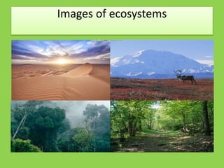 Images of ecosystems
 