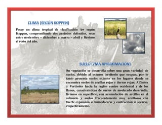 Posee un clima tropical de clasificación Aw según
Koppen, comprendiendo dos períodos defenidos, seco
entre noviembre – diciembre a marzo – abril y lluvioso
el resto del año.
Su vegetación se desarrolla sobre una gran variedad de
suelos, debido al extenso territorio que ocupan, por lo
tanto presenta suelos oxisoles en los lugares donde se
encuentra suelos de arcillas rojas y tierras rojas; Alfisoles
y Vertisoles hacia la región centro occidental y de los
llanos, características de suelos de moderado desarrollo,
livianos en superficie, con acumulación de arcillas en el
subsuelo y suelos frecuentemente muy arcillosos con
fuerte expansión al humedecerse y contracción al secarse,
respectivamente.
 