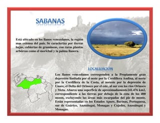 Está ubicado en los llanos venezolanos, la región
mas extensa del país. Se caracteriza por tierras
bajas, cubiertas de gramíneas, con raras plantas
arbóreas como el morichal y la palma llanera.
Los llanos venezolanos corresponden a la Propiamente gran
depresión limitada por el oeste por la Cordillera Andina, al norte
por la Cordillera de la Costa, al noreste por la depresión de
Unare, el Delta del Orinoco por el este, al sur con los ríos Orinoco
y Meta. Abarca una superficie de aproximadamente241.476 km2,
correspondiente a las tierras por debajo de la cota de los 400
msnm, excluyendo las áreas más escarpadas del pie de monte.
Están representadas en los Estados Apure, Barinas, Portuguesa,
sur de Guárico, Anzoátegui, Monagas y Cojedes, Anzoátegui y
Monagas.
 