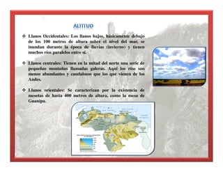 Llanos Occidentales: Los llanos bajos, básicamente debajo
de los 100 metros de altura sobre el nivel del mar, se
inundan durante la época de lluvias (invierno) y tienen
muchos ríos paralelos entre sí.
Llanos centrales: Tienen en la mitad del norte una serie de
pequeñas montañas llamadas galeras. Aquí los ríos son
menos abundantes y caudalosos que los que vienen de los
Andes.
Llanos orientales: Se caracterizan por la existencia de
mesetas de hasta 400 metros de altura, como la mesa de
Guanipa.
 