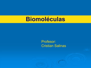 Biomoléculas


    Profesor:
    Cristian Salinas
 