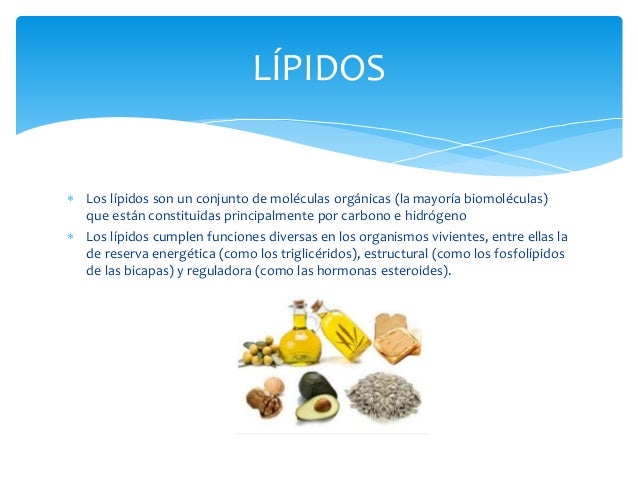 bioquimica de los alimentos